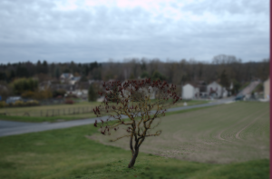 La Genevraye